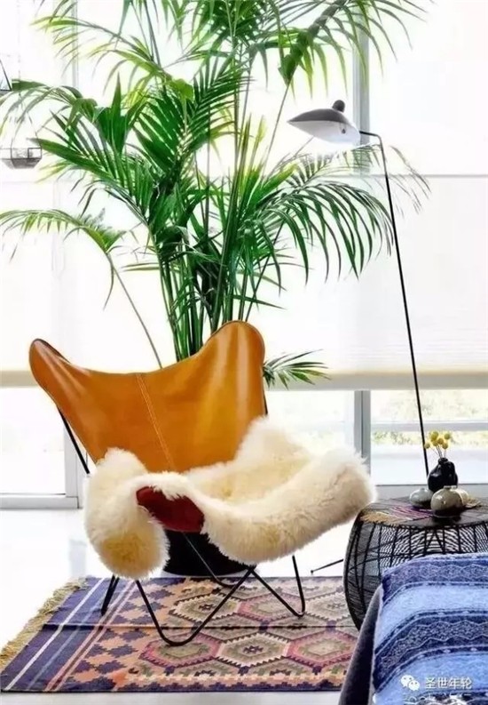 臥室綠植營造清新空間！